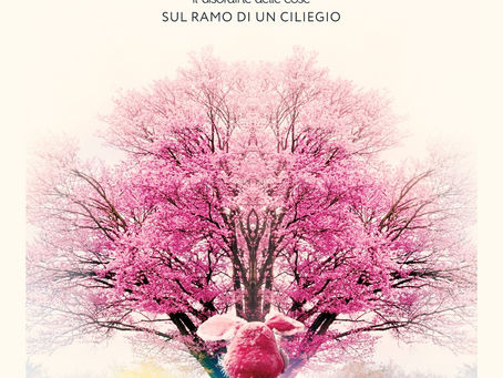 Il Disordine Delle Cose: out “SUL RAMO DI UN CILIEGIO” il nuovo singolo