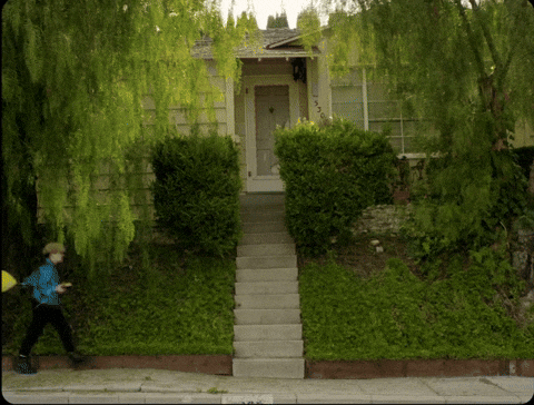 giphy.gif