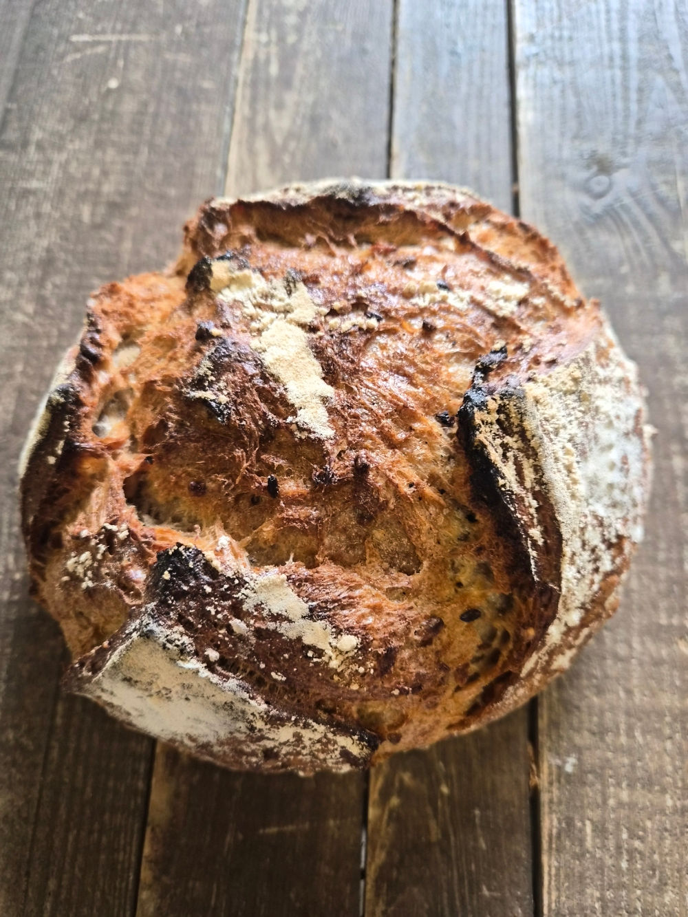 Pain bis aux graines BIO /500grs