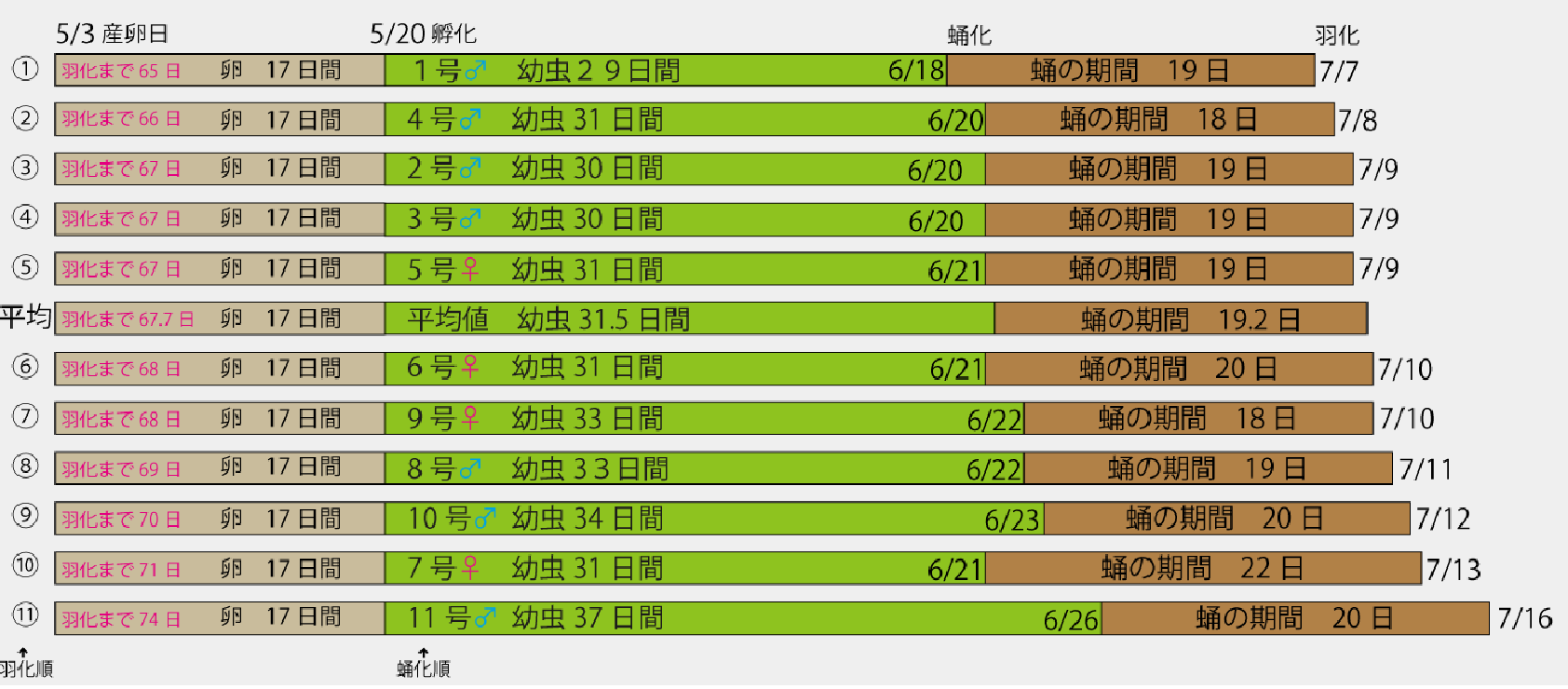 産卵_羽化棒グラフ.gif