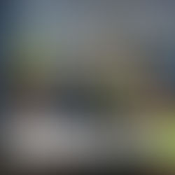 Newcastle Blue Star vs Carlisle City (04/04/2026)