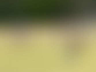 ACS Newsletter April 19, 2026