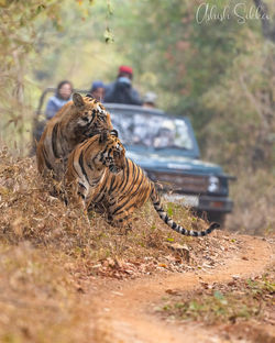 Shamboo 6 _19A1308 (1)