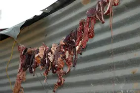 namibian-food-2a.jpg.webp