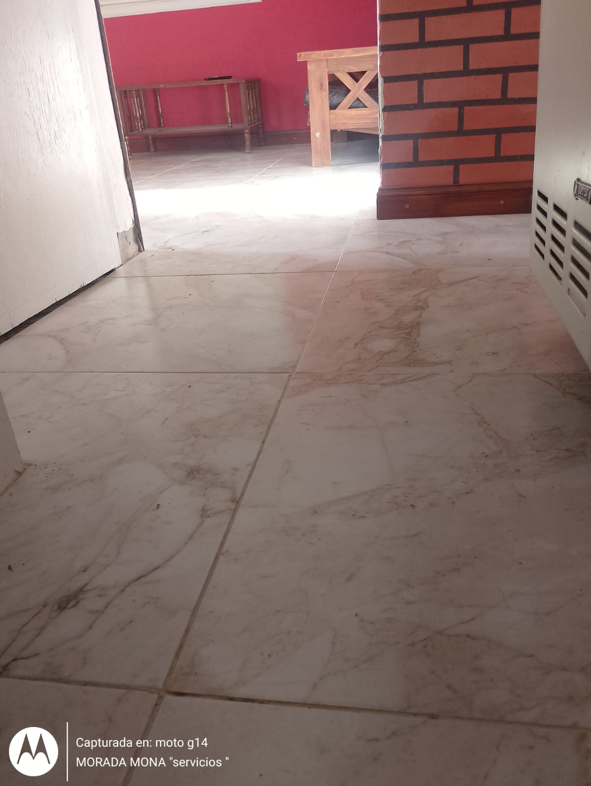 Trabajo 2 de Morada  Mona