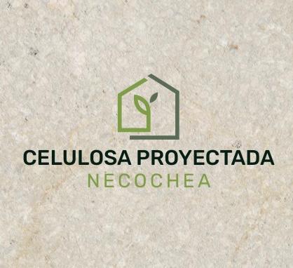 Celulosa Proyectada