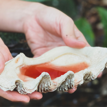 What Your Menstrual Blood Reveals About Your Inner Health 🩸