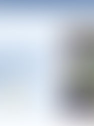 Preview of Website