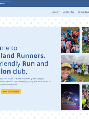 Preview of Website