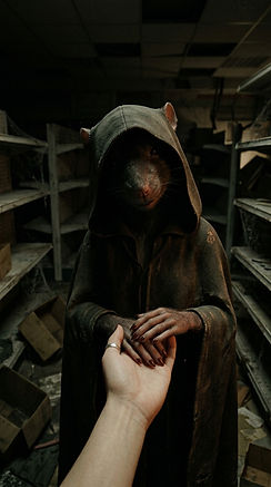 Female_rat_takes_viewer's_hand_202605031203.jpeg