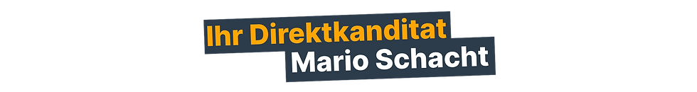 _Flyer Mario Schacht LTW26 (600 x 80 mm) (2).png