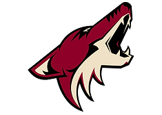 5- Puck Marks - NHL Team Logos (PNG).png