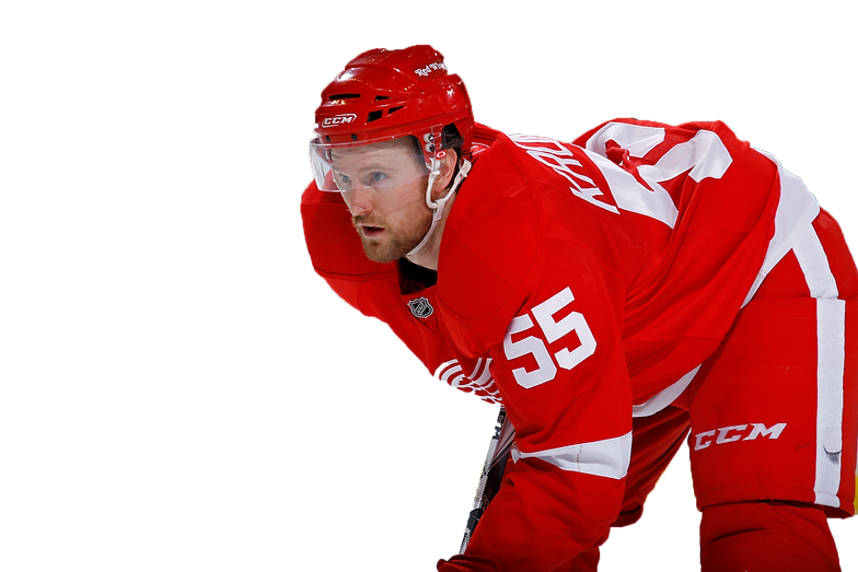 Detroit Red Wings Puckmarks
