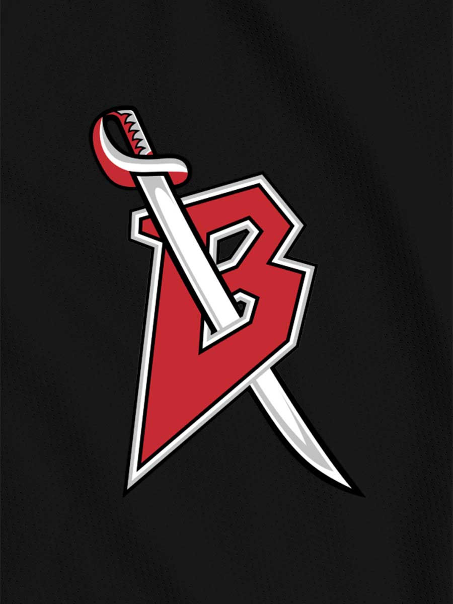 Buffalo Sabres - NHL Secondary Logo 3 Jersey Wallpaper 2026