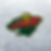 Minnesota Wild