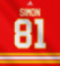 CGY81