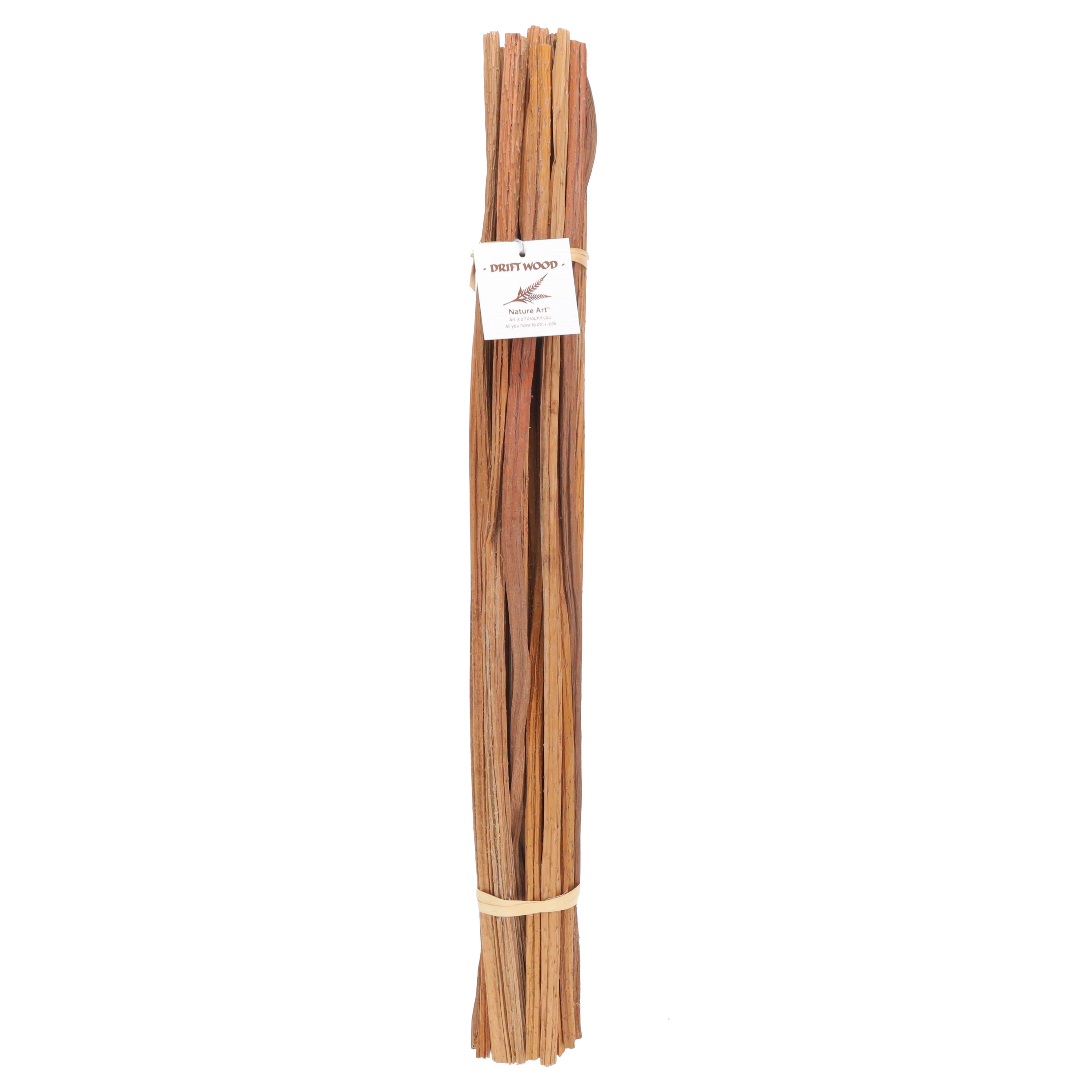 Deco Lotus Stem Bundle - Natural, 22-24 in