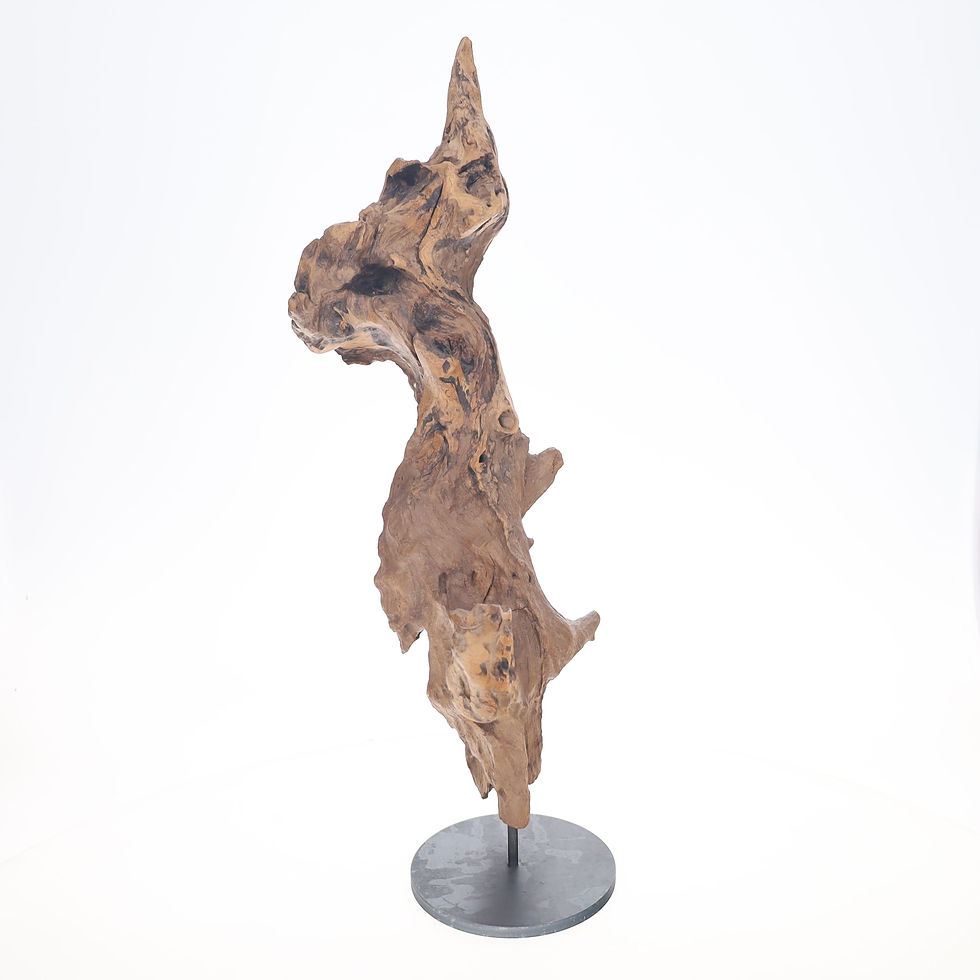 Thumbnail: "ZEPHYROS"