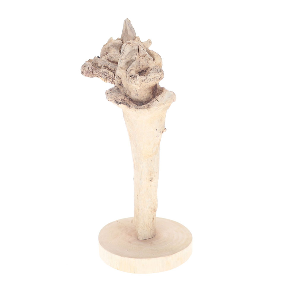 Thumbnail: "KORONIS"