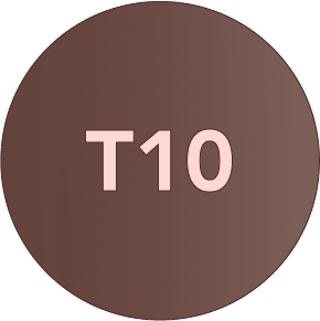 GP10_2x-8.png