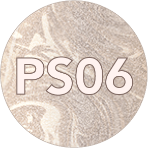 PS06_2x-8.png