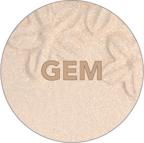 GEM_2x-8.png