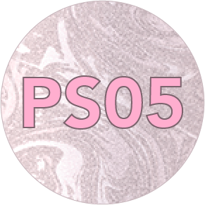 PS05_2x-8.png