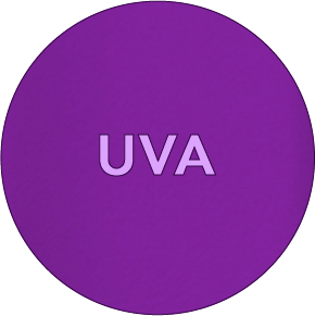 POLIMERO UVA_2x-8.png