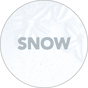 SNOW_2x-8.png