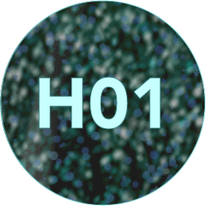 FO H01_2x-8.png
