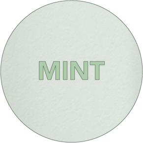 POLIMERO MINT_2x-8.png