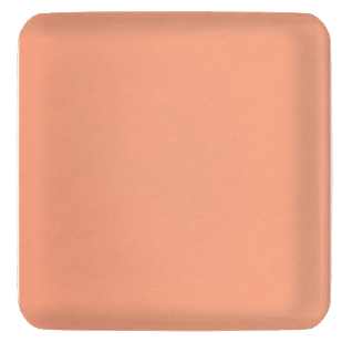 coral_2x.png