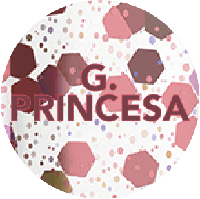 POLIMERO PRINCESA_2x-8.png