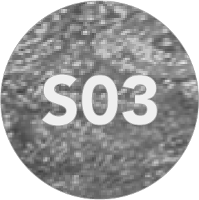S03_2x-8.png