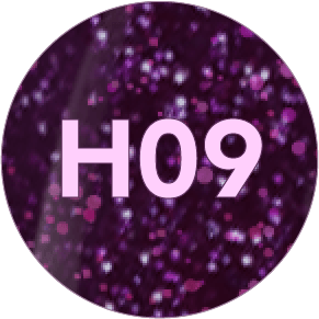FO H09_2x-8.png