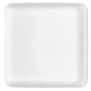 white_2x.png