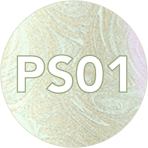 PS01_2x-8.png