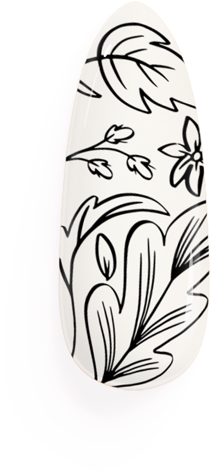 T01 diseño.png