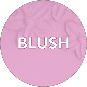 BLUSH_2x-8.png