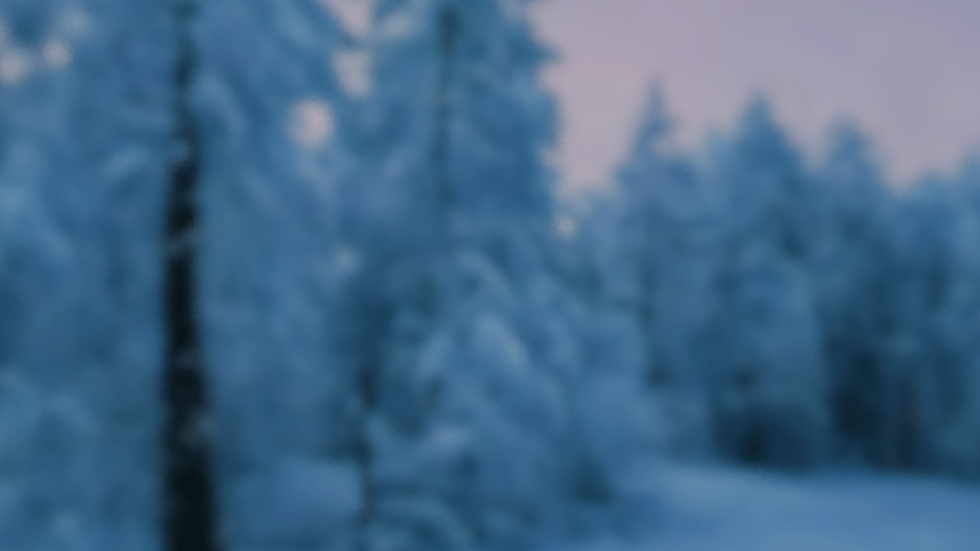 FONDO-FLICKER-Y-FROST-.png