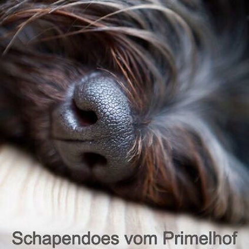 Startseite_Nase _040218_größer.jpg