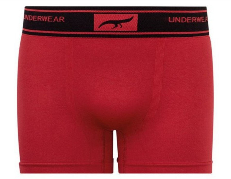 Cueca Boxer Sem Costura Zee Rucci - ZR01000011091