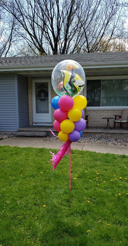 Fish bubble Balloon pole
