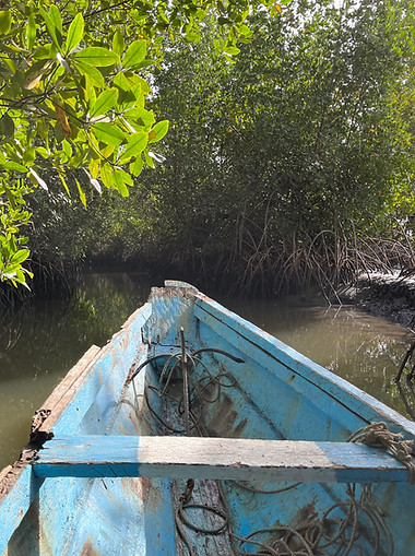 Pirogue dans la mangrove de Sine Saloum, Sénégal