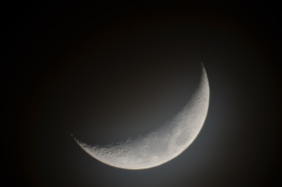 DSC_0118