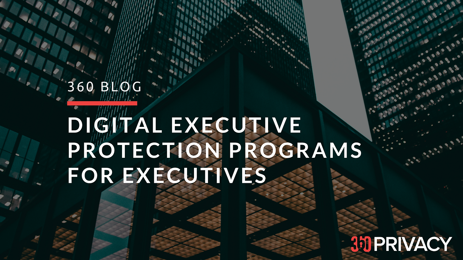 Digital Executive Protection Programs for Executives