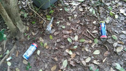 UUC Turtle Creek Cleanup Litter 002