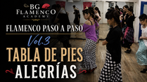 フラメンコ・パソ・ア・パソ / Flamenco Paso a Paso｜