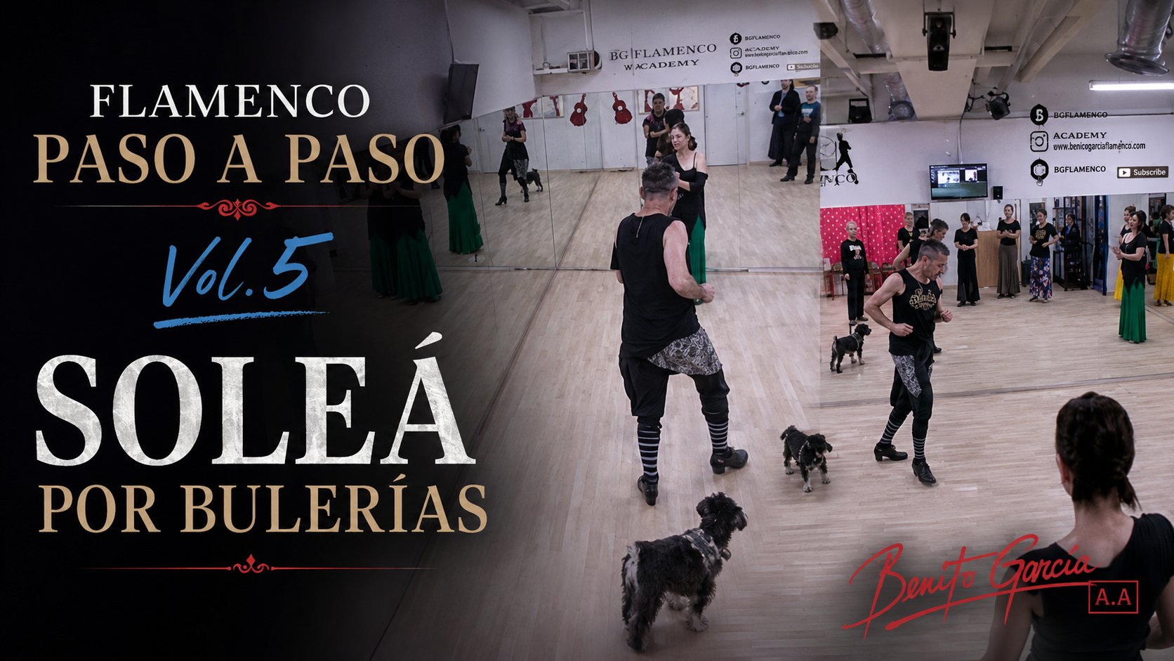 Flamenco Paso a Paso Vol.5 thumbnail combining soleá por bulerías class scenes.
