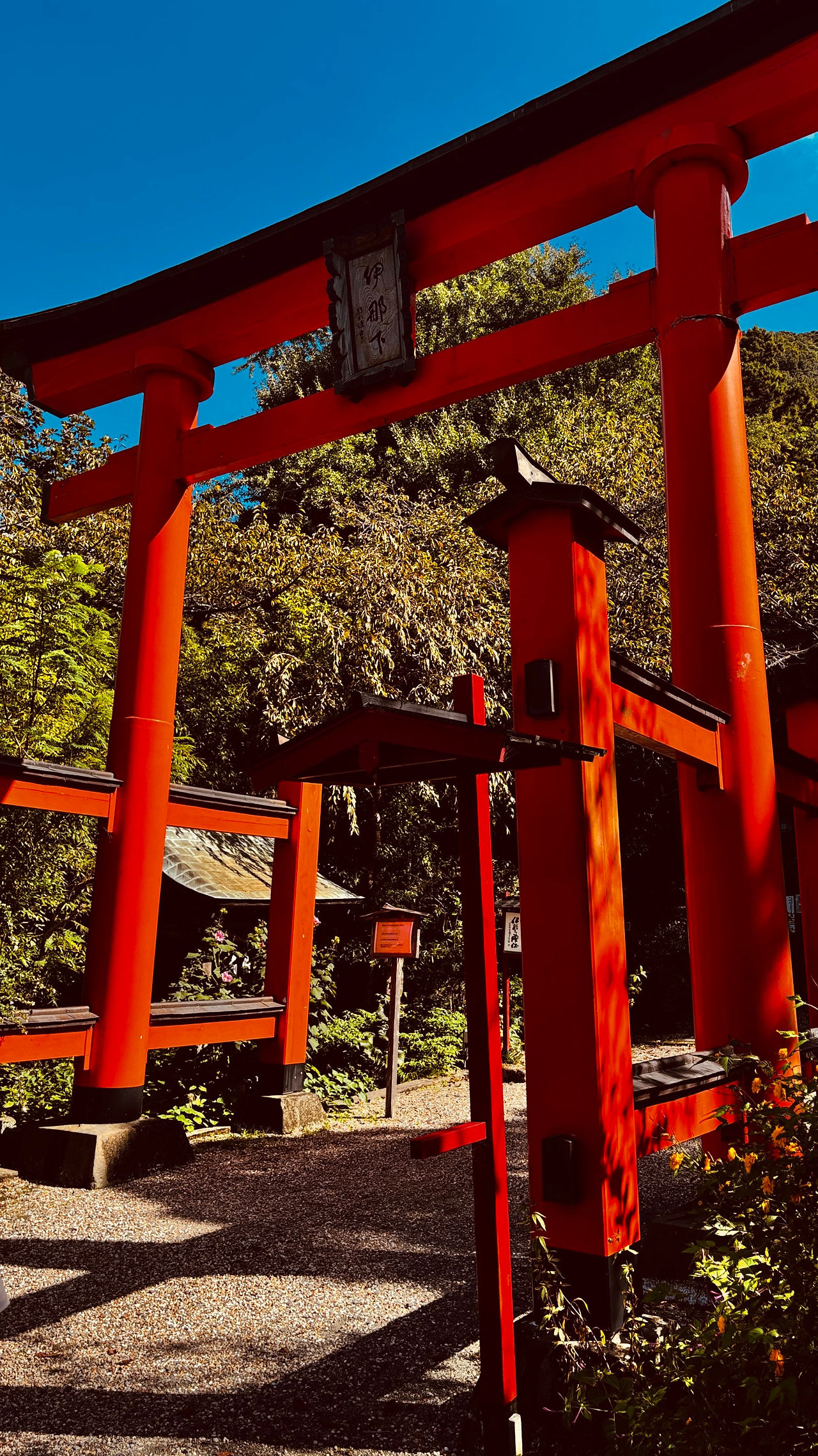 神社入口处的红色鸟居和红色围栏，四周环绕着树木。